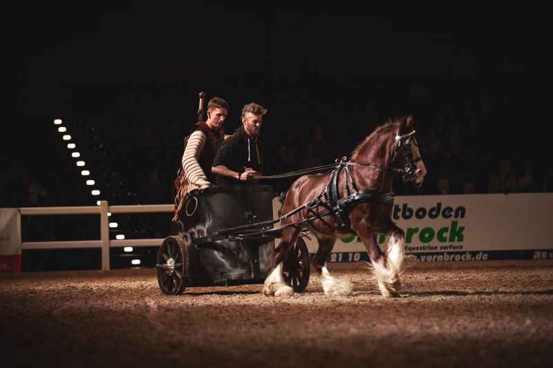 Hund und Pferd 2024 Gladiator Horses